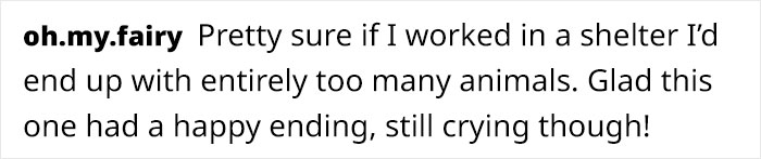 Artist Who Made People Cry With Her Grim Reaper Animal Comics Is Back, And This Time It's About Paying Tribute To Shelter Staff Artist Who Made People Cry With Her Grim Reaper Animal Comics Is Back, And This Time It's About Paying Tribute To Shelter Staff