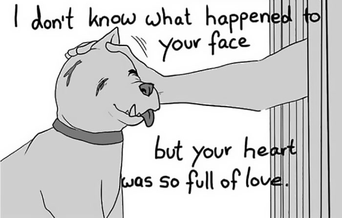 Artist Who Made People Cry With Her Grim Reaper Animal Comics Is Back, And This Time It’s About Paying Tribute To Shelter Staff