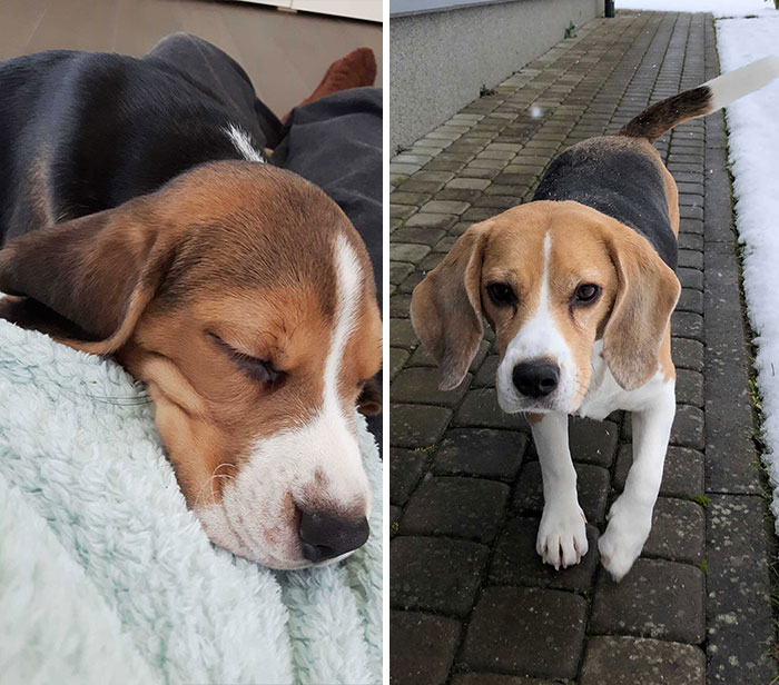 She Grew Into A Beautiful And Mischievous Lady