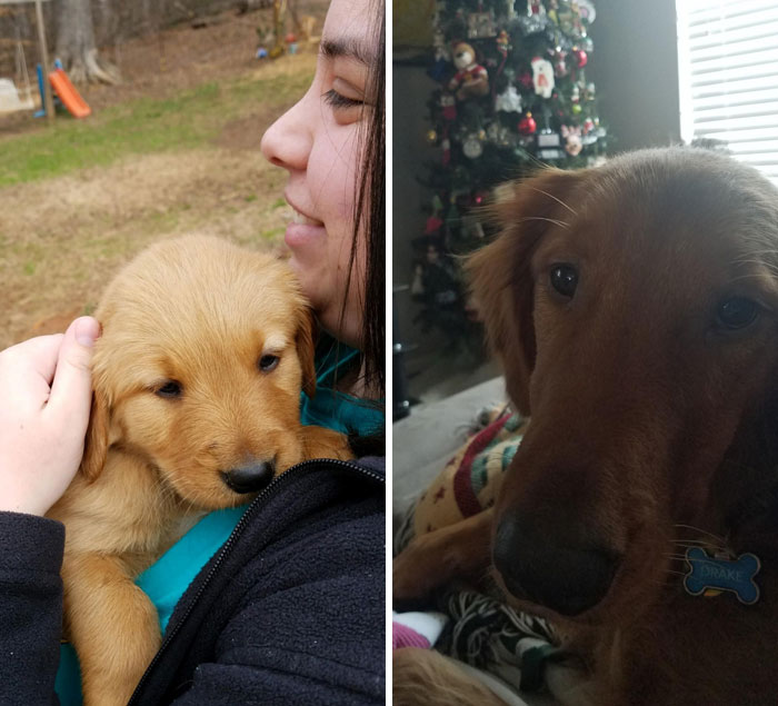 Merry Christmas And Happy 2nd Birthday To Drake