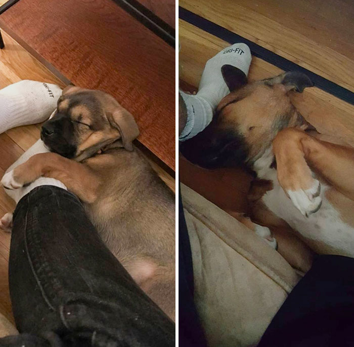 Sleeps On My Feet To This Day