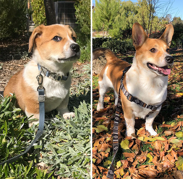 From 2 Months To 2 Years