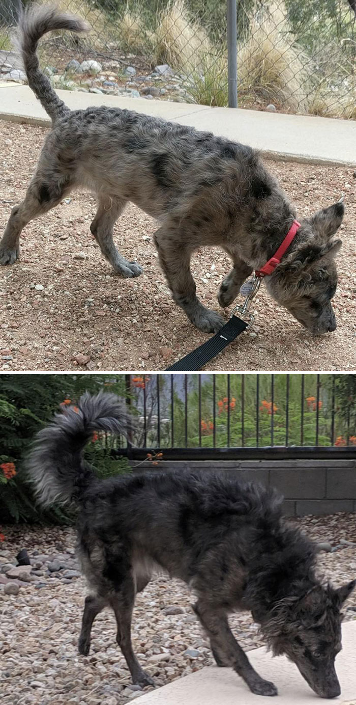 My Handsome Boy At 6 Months And 1.5 Years