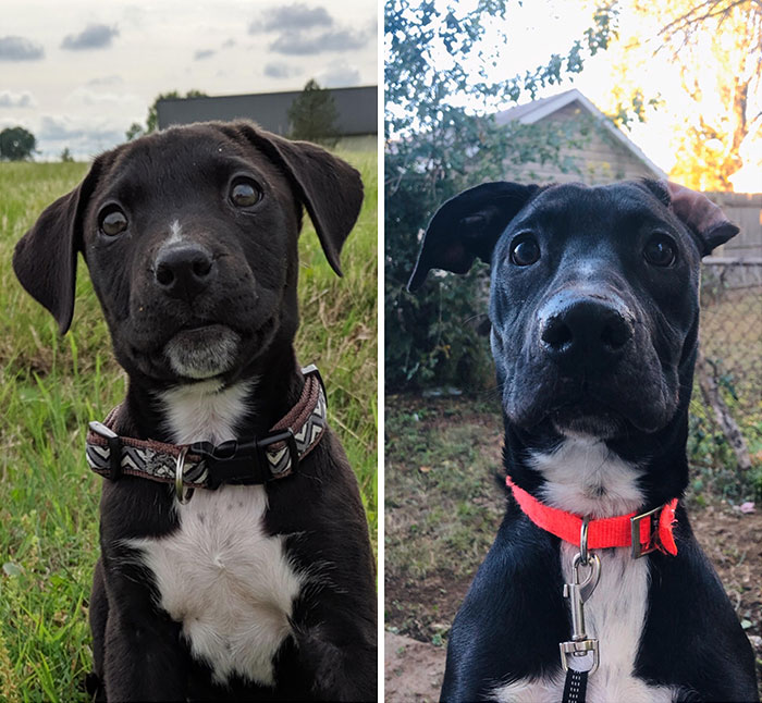3 Months To 9 Months. Still A Dork