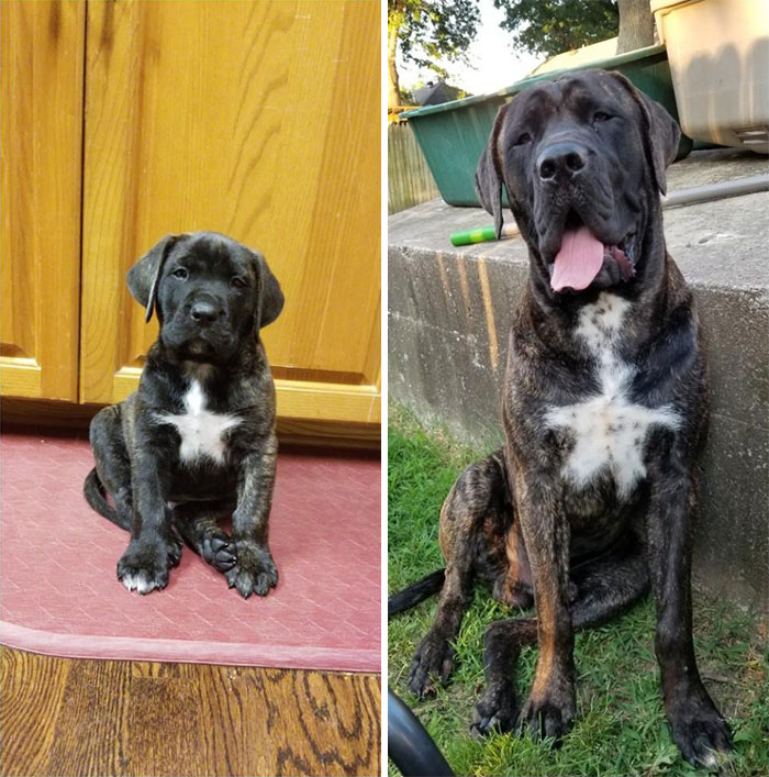 Marvin 1 Month To 1 Year