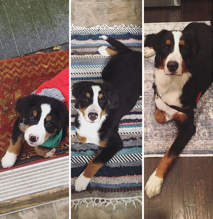 From 3 To 5 To 12 Months