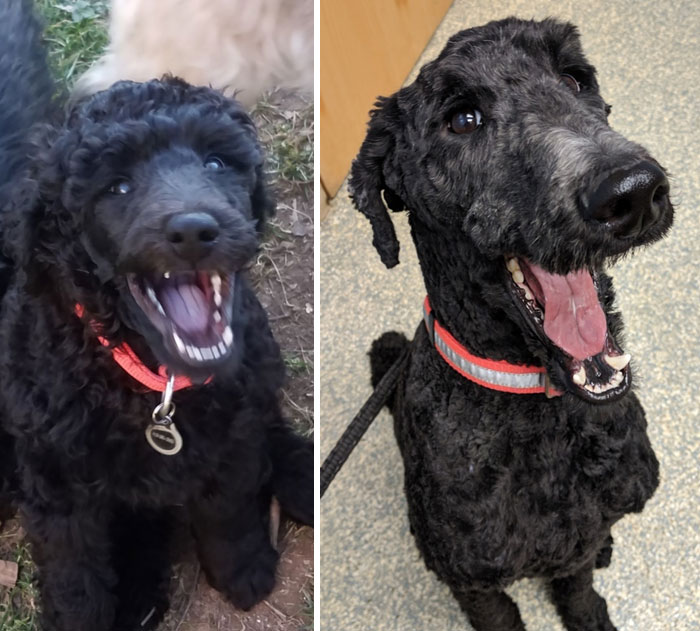 8 Weeks To 2 Years; Not Much Has Changed