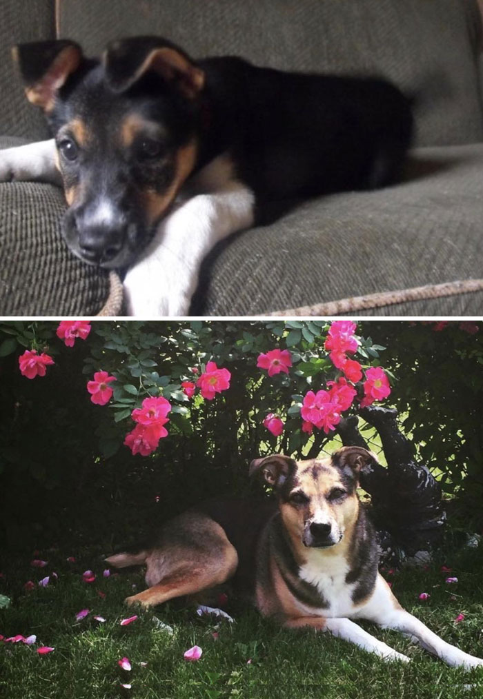 10 Years Old. The Best Pal Ever