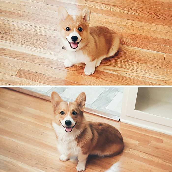 Five Months Later And Still The Same Smile