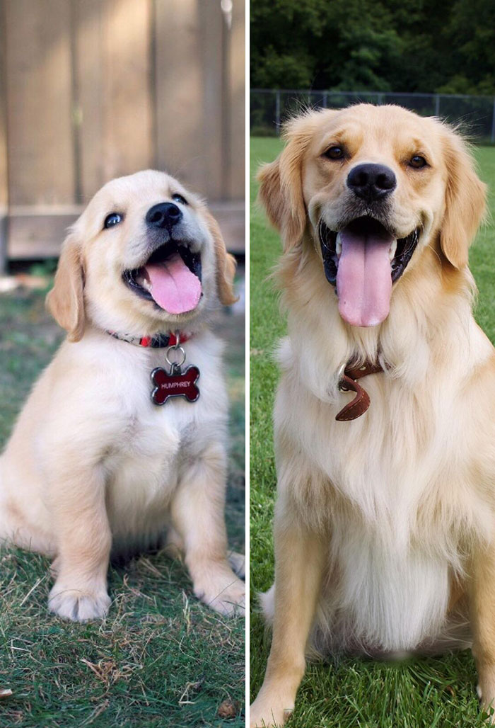 One Year Older, Same Young Spirit