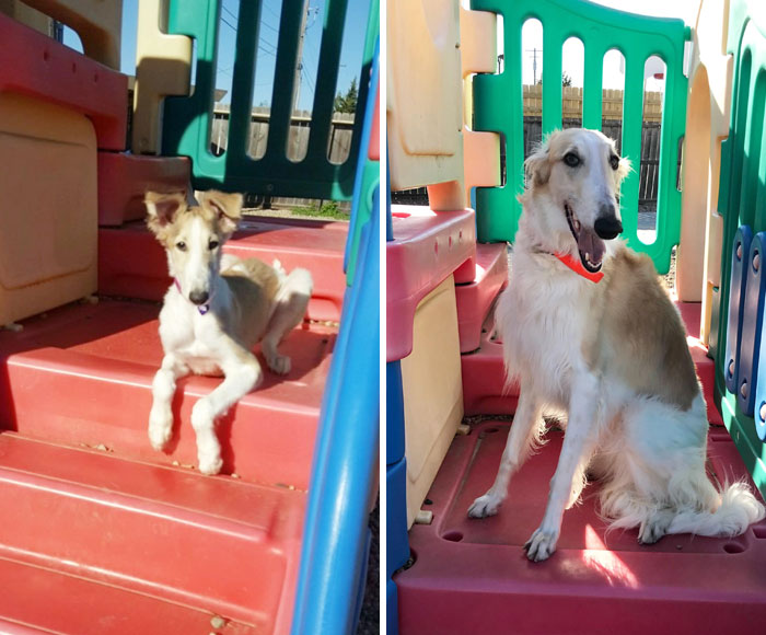 From 3 Months Old To 3 Years Old