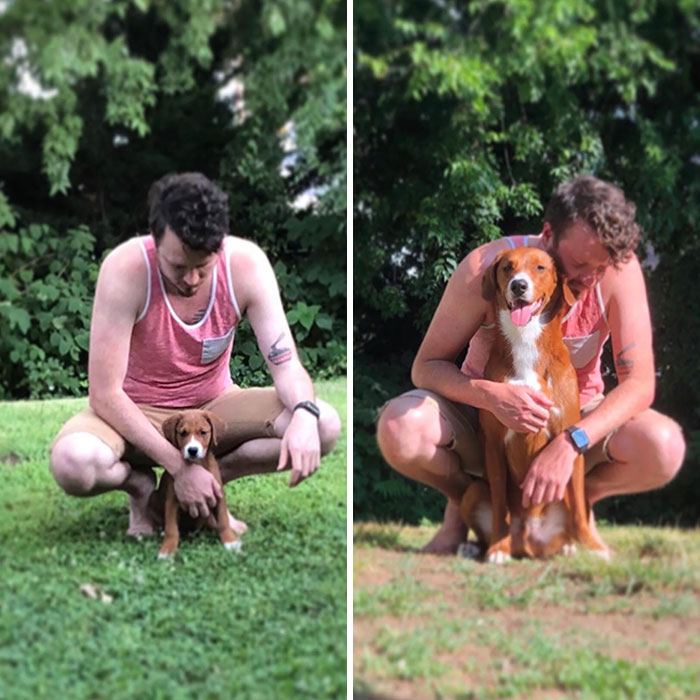 Just Wanted To Share My Dog Pelly. Today Was His Gotcha Day. He Helped Me Get Through A Very Tough Year. Couldn’t Have Done It Without Him