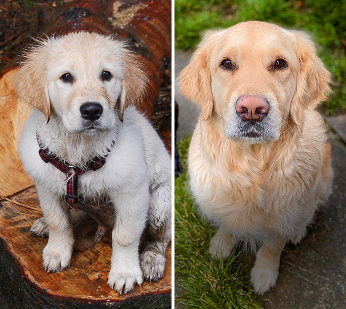 Same Soulful Eyes And Mustache
