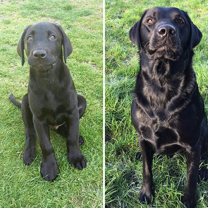 Same Smug Little Face