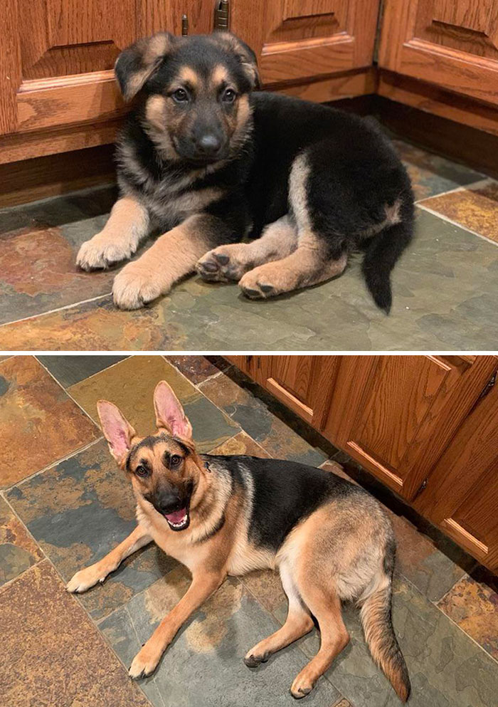 What A Difference A Year Makes