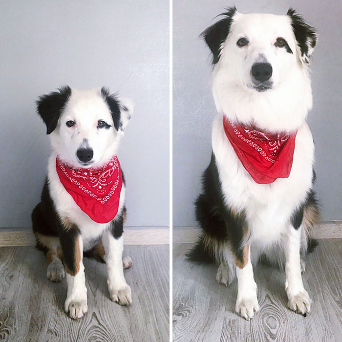 One Year Difference Photo. Alaska Is So Grown Up