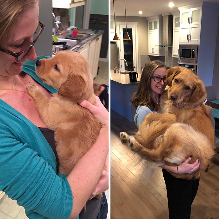 Thought I'd Throw My Hat Into The "What A Difference A Year Makes" Ring