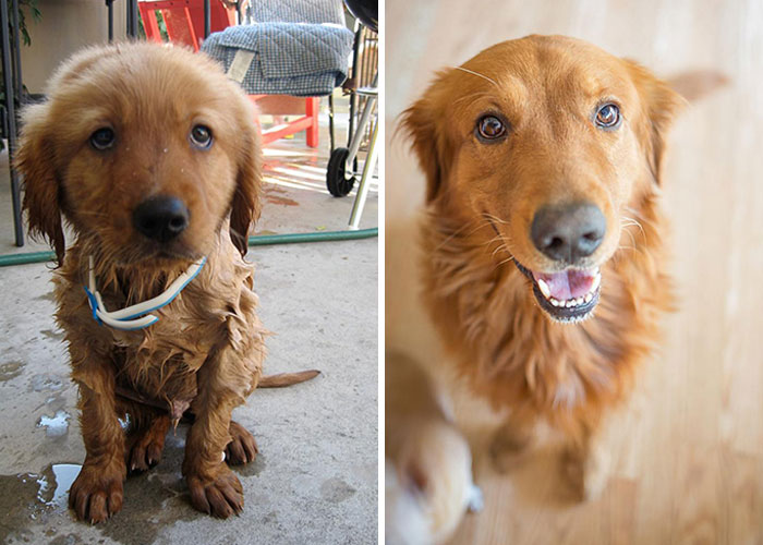 The Difference 7 Years Makes