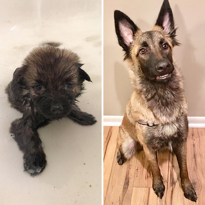 What A Difference A Year Can Make