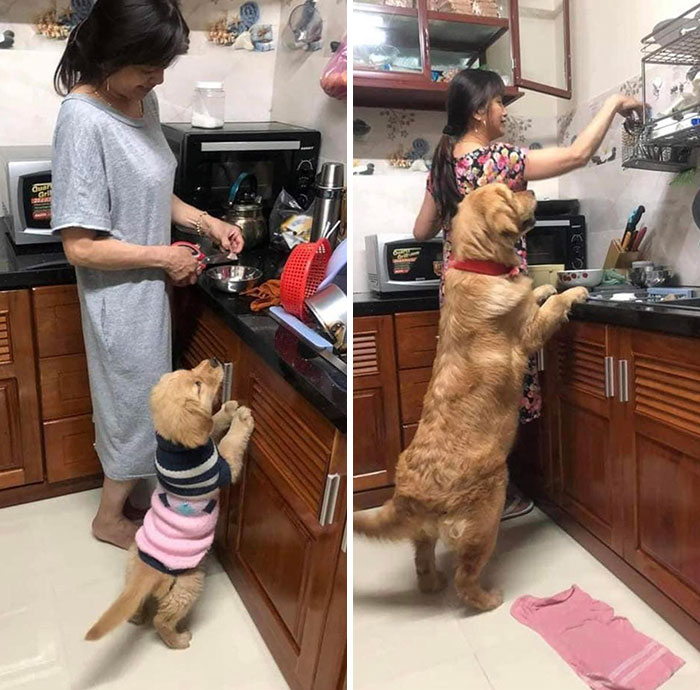 Some Things Never Change