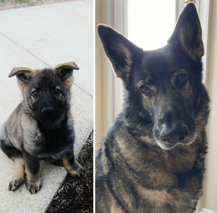 Celebrating A Special Birthday Today, 10 Years Of Lending An Ear