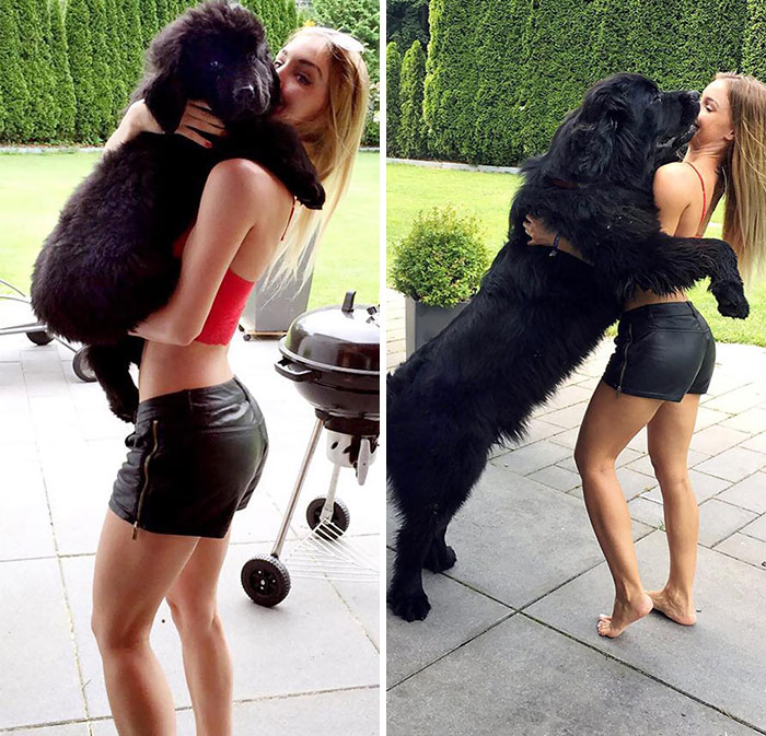 Do You Know Who This Little Furball On The Left Is? Yes, It's Me. The Picture Is Exactly One Year Old And I'm Still Growing