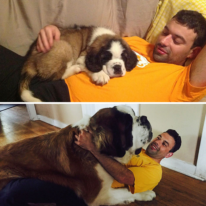 Two Years To The Day