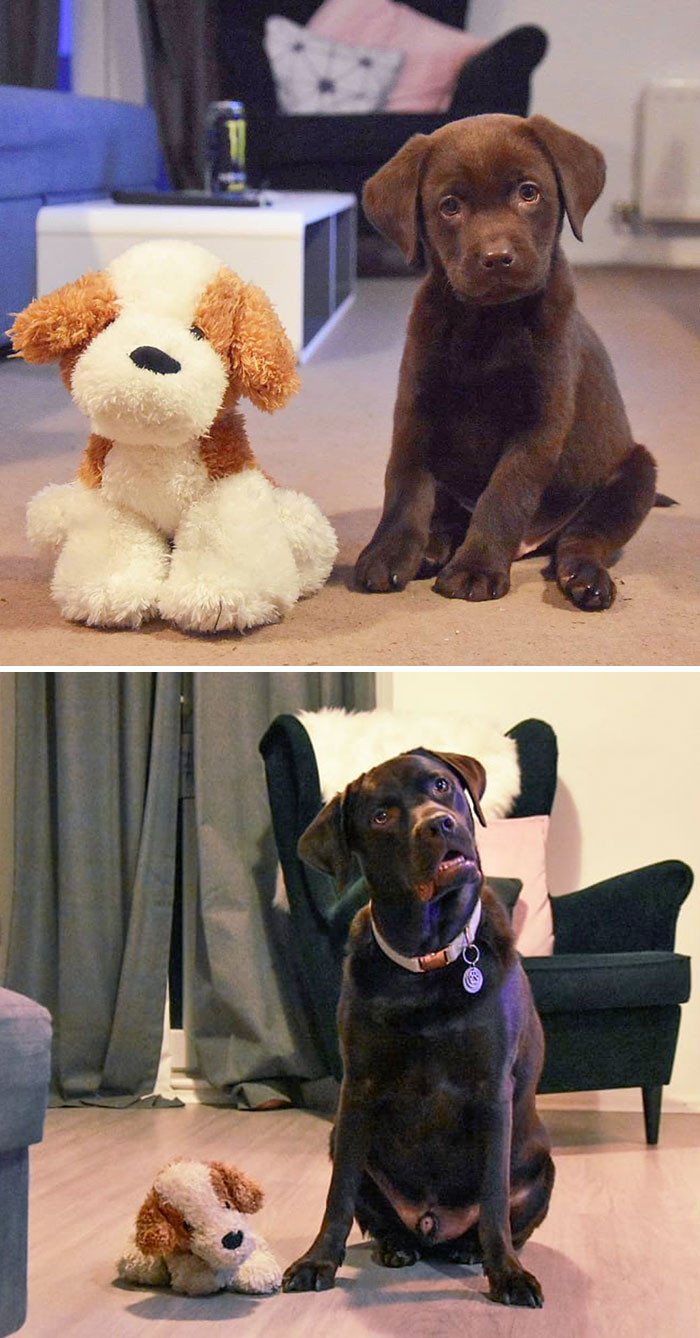 They Grow Up So Fast