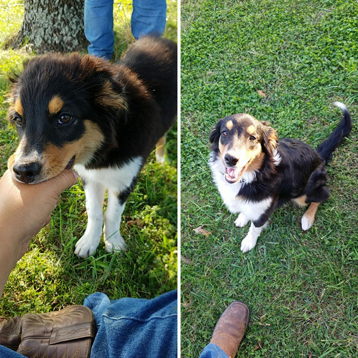 My Goodest Girl Is Growing Up So Fast