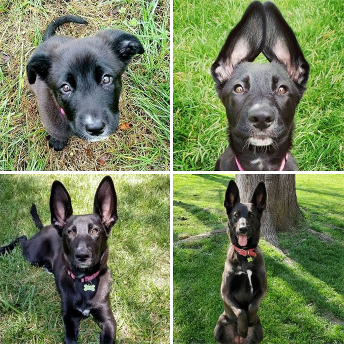 "She Will Grow Into Them" They Said