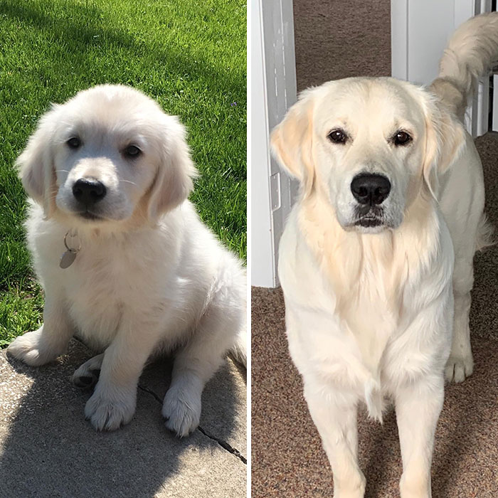 Brought Him Home Almost Exactly One Year Ago