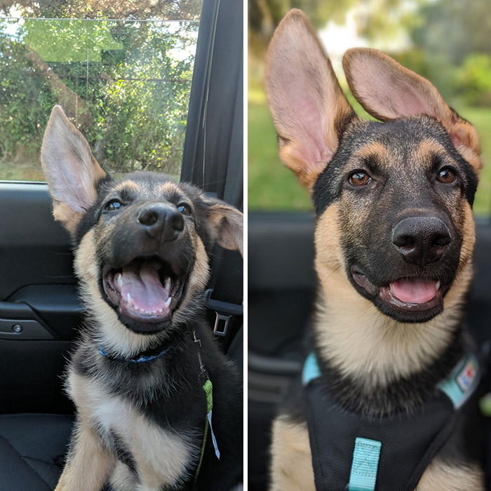 Freshman Year vs. Graduation