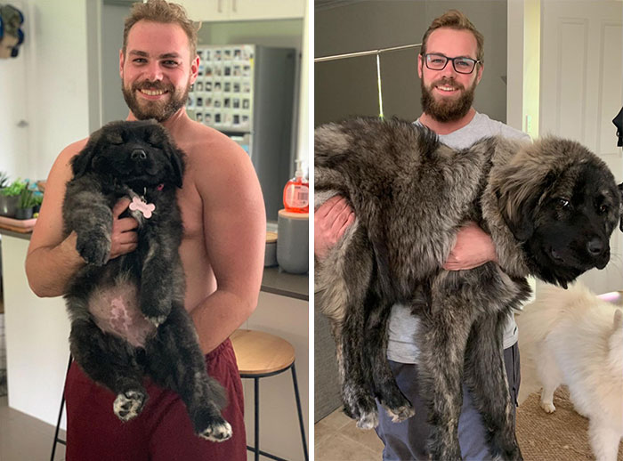 12 Weeks To 12 Months