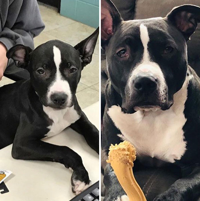 He’s Always Been Such A Handsome Boy