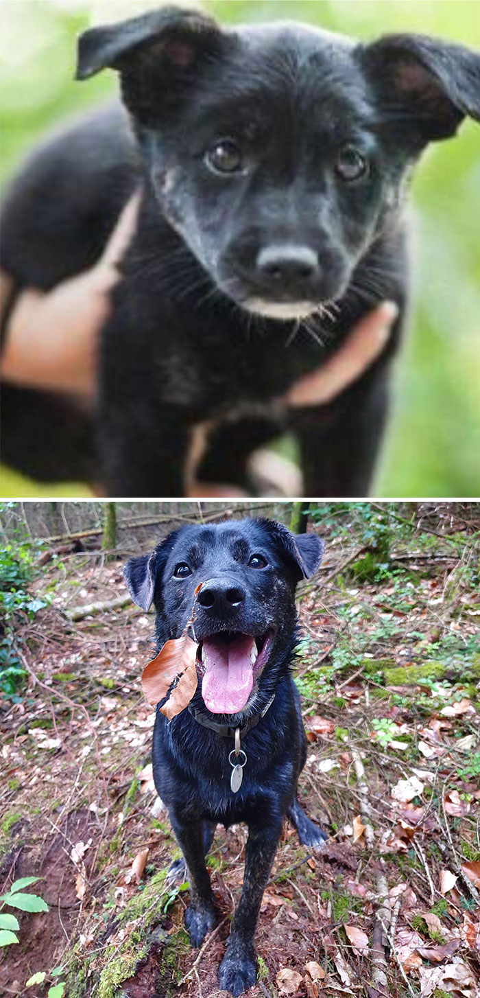 Just Before Adoption And Today