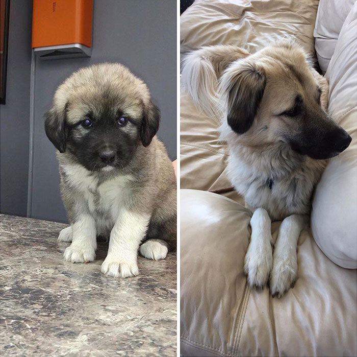 Her Majesty Willow The Defiant