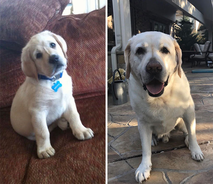 10 Weeks To 10 Years