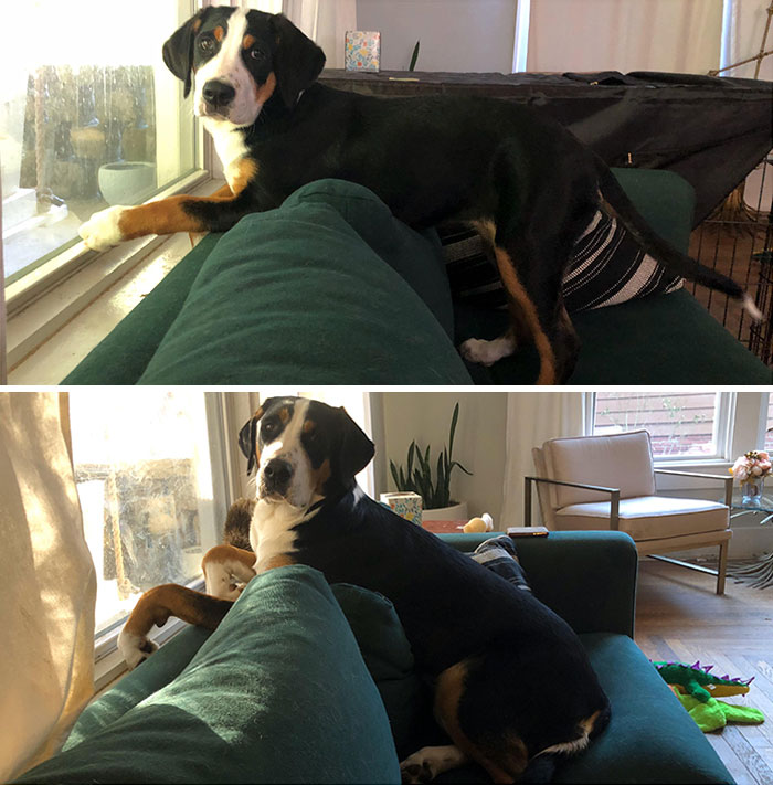 Still Her Favorite Spot