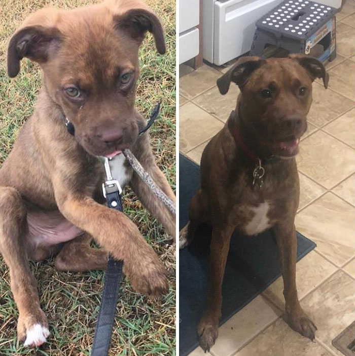 12 Weeks To 2 And A Half Years