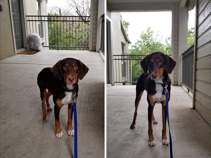 4 Months To 1 Year. All Legs