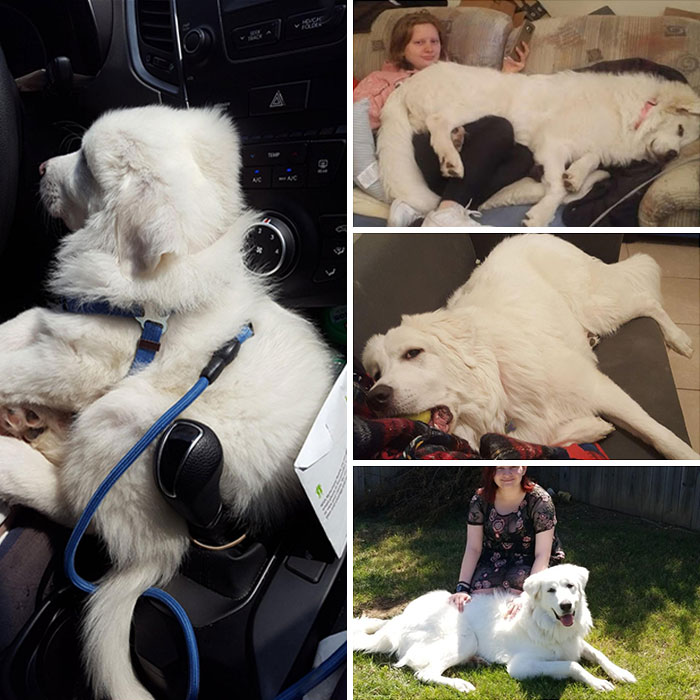 My Sweet Girl Stella