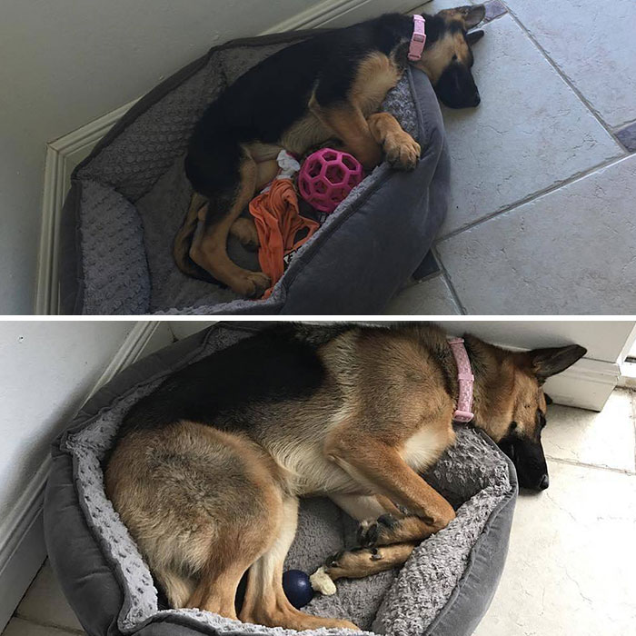 Some Things Never Change