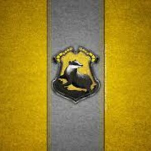 harrypotterisawesome29 avatar