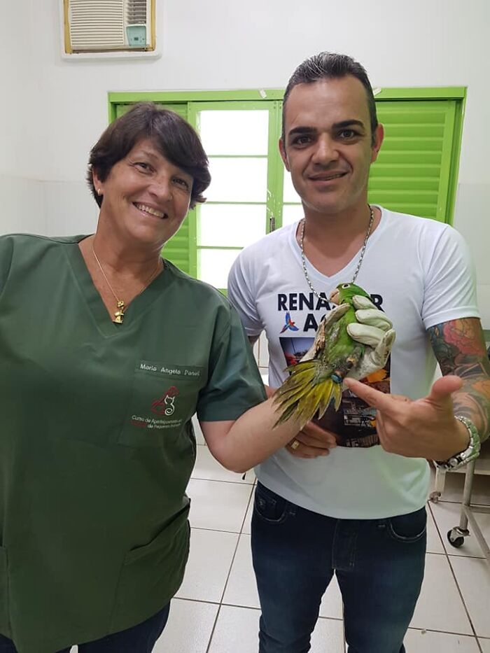 Parrot Gets A Brand New Beak After Being Rescued In A Horrible Condition