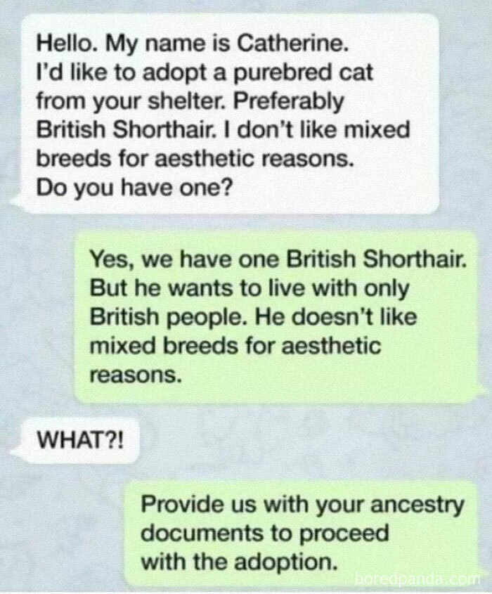 This Made Me Laugh So Much