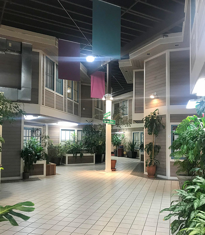 Office Building That's Inside, But Looks Like It's Outside