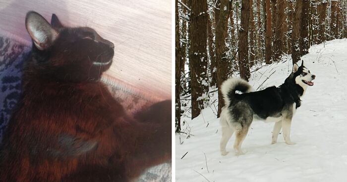 Hey Pandas, Share A Picture That Shows Pure Happiness (Closed)