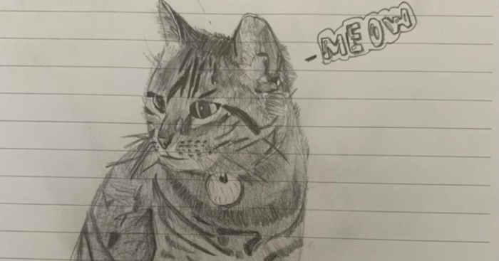 Pandas, Draw Your Best Cat And Post It Here (Closed)