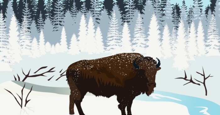 I’ve Spent The Last Month Illustrated Canada’s Provinces Based On The Best They Have To Offer
and Here’s The Outcome