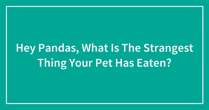 Hey Pandas, What Is The Strangest Thing Your Pet Has Eaten? (Closed)